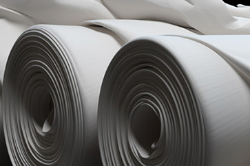 Paper & Pulp